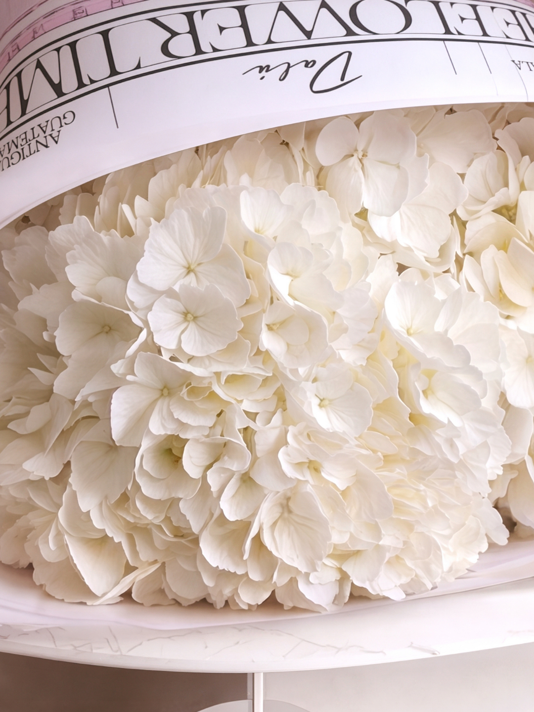 Ramo de Hortensias - Image 2