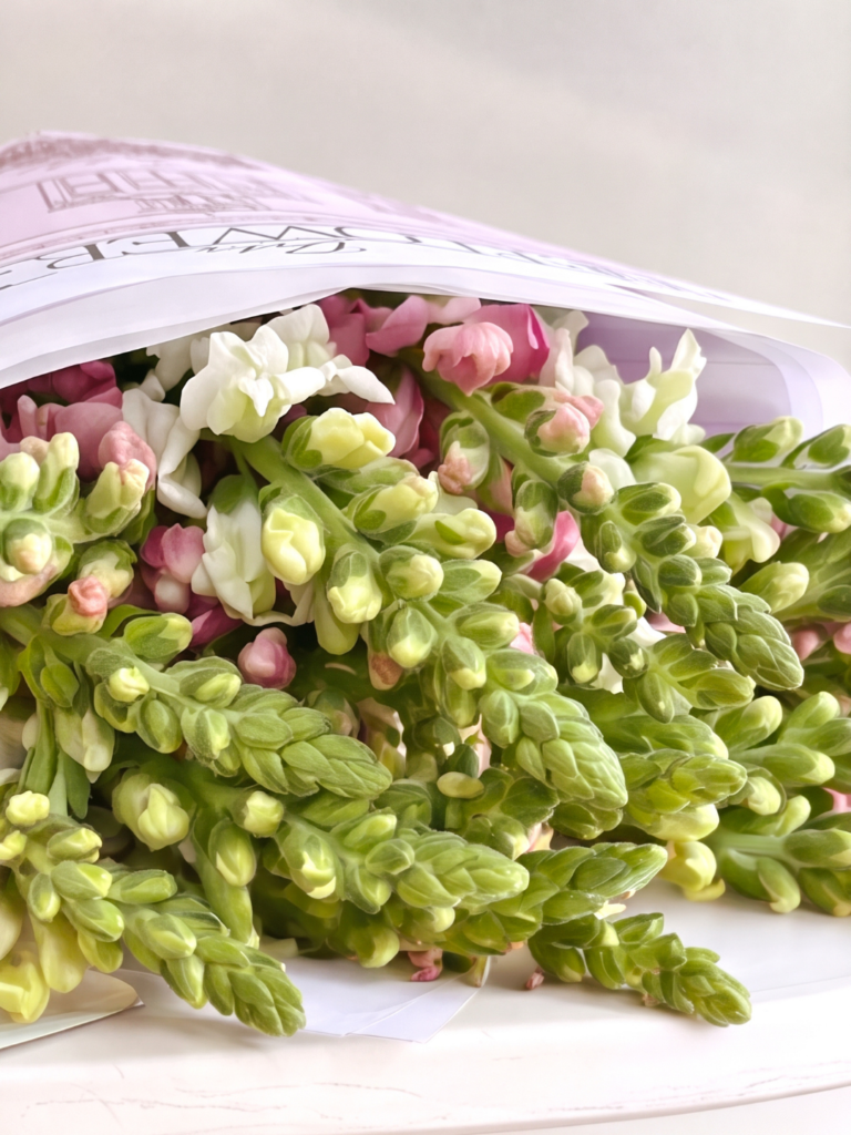 Ramo de Snapdragons